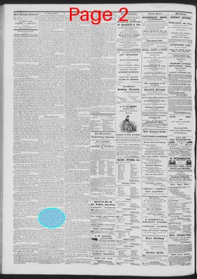 Page thumbnail for Daily National Democrat