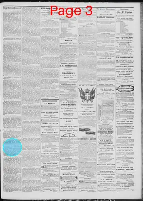 Page thumbnail for Daily National Democrat