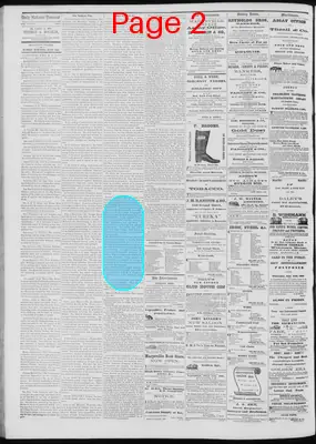 Page thumbnail for Daily National Democrat