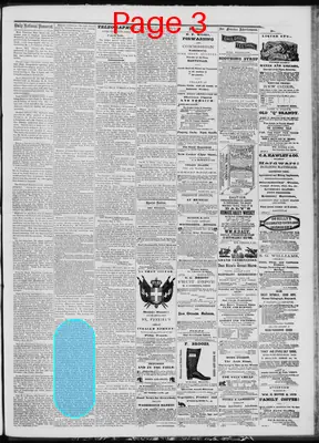 Page thumbnail for Daily National Democrat