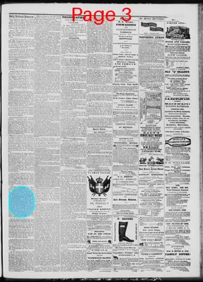 Page thumbnail for Daily National Democrat