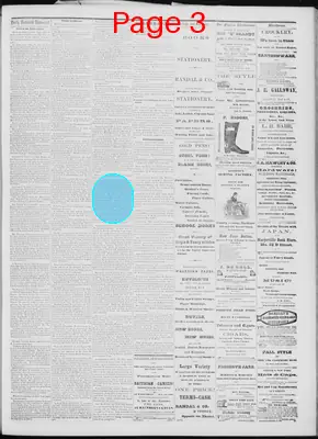 Page thumbnail for Daily National Democrat