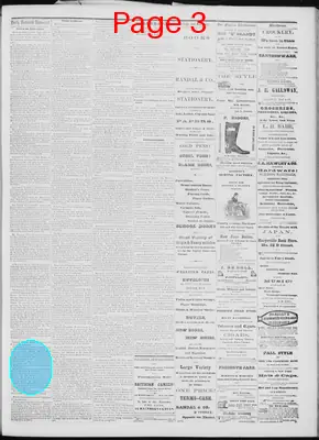 Page thumbnail for Daily National Democrat