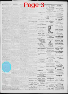 Page thumbnail for Daily National Democrat
