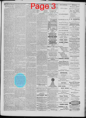 Page thumbnail for Daily National Democrat