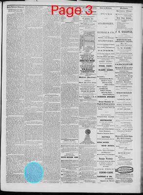 Page thumbnail for Daily National Democrat