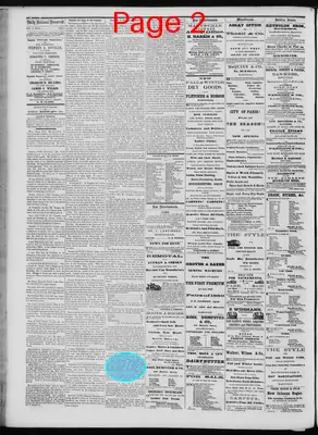 Page thumbnail for Daily National Democrat