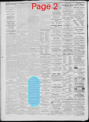 Page thumbnail for Daily National Democrat