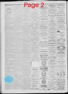 Page thumbnail for Daily National Democrat