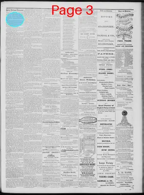 Page thumbnail for Daily National Democrat