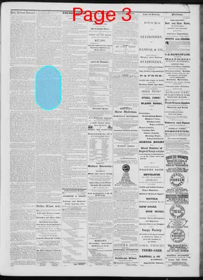 Page thumbnail for Daily National Democrat