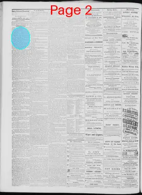 Page thumbnail for Daily National Democrat