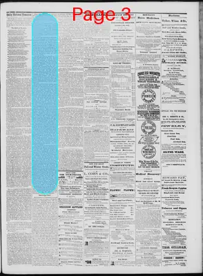 Page thumbnail for Daily National Democrat