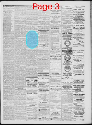 Page thumbnail for Daily National Democrat