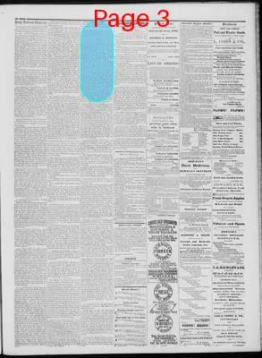 Page thumbnail for Daily National Democrat