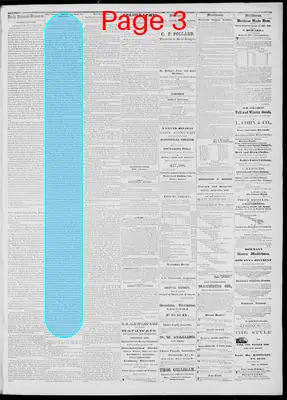 Page thumbnail for Daily National Democrat