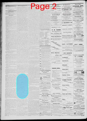 Page thumbnail for Daily National Democrat
