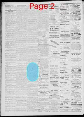 Page thumbnail for Daily National Democrat