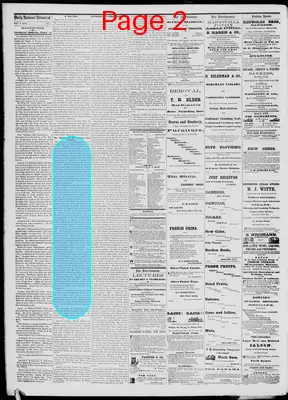 Page thumbnail for Daily National Democrat