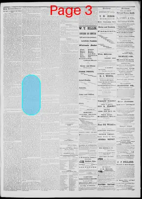 Page thumbnail for Daily National Democrat