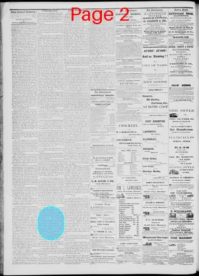 Page thumbnail for Daily National Democrat