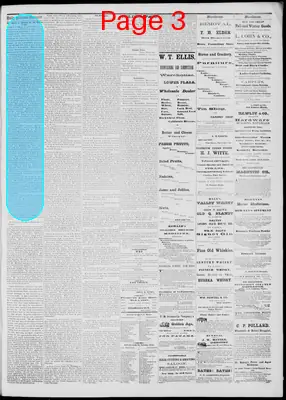 Page thumbnail for Daily National Democrat