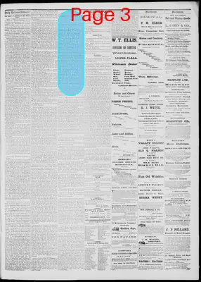 Page thumbnail for Daily National Democrat