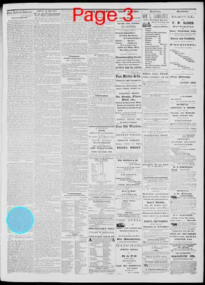 Page thumbnail for Daily National Democrat