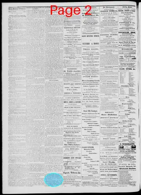 Page thumbnail for Daily National Democrat