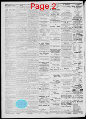 Page thumbnail for Daily National Democrat