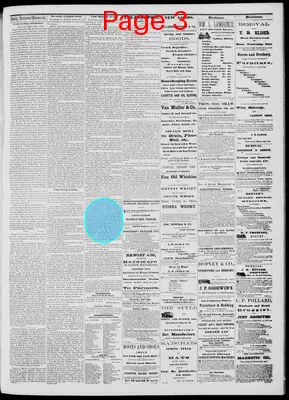 Page thumbnail for Daily National Democrat