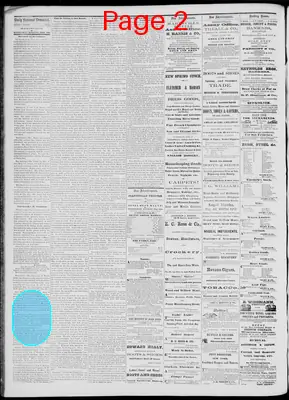 Page thumbnail for Daily National Democrat