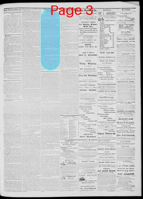 Page thumbnail for Daily National Democrat