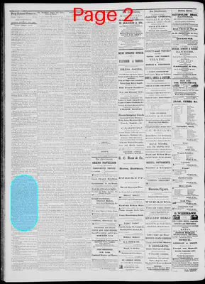 Page thumbnail for Daily National Democrat