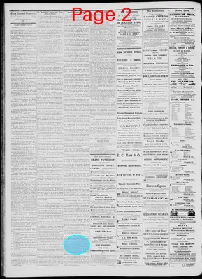 Page thumbnail for Daily National Democrat