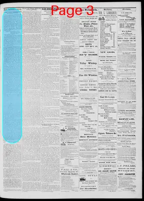 Page thumbnail for Daily National Democrat