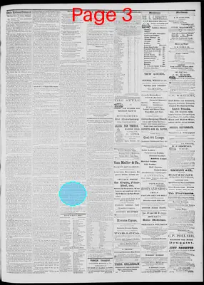 Page thumbnail for Daily National Democrat