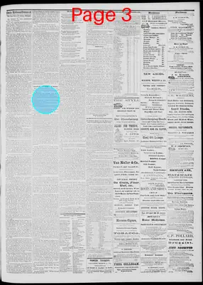 Page thumbnail for Daily National Democrat