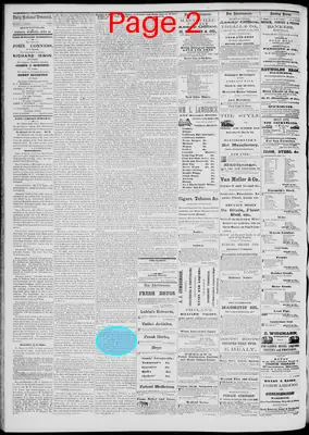 Page thumbnail for Daily National Democrat