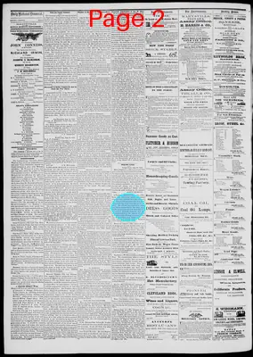 Page thumbnail for Daily National Democrat