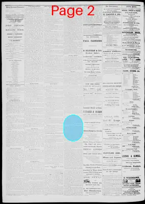 Page thumbnail for Daily National Democrat