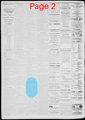 Page thumbnail for Daily National Democrat
