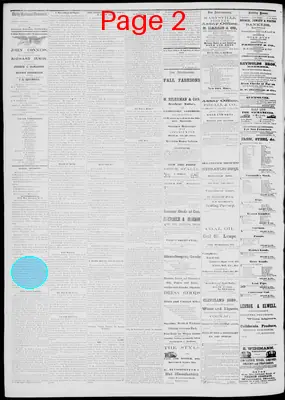 Page thumbnail for Daily National Democrat