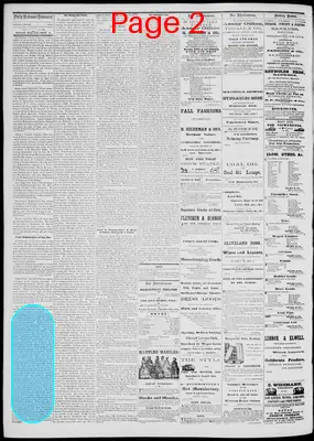 Page thumbnail for Daily National Democrat