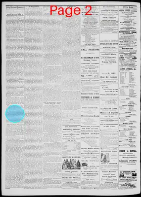 Page thumbnail for Daily National Democrat