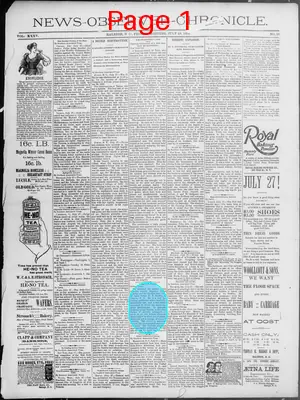 Page thumbnail for News Observer Chronicle
