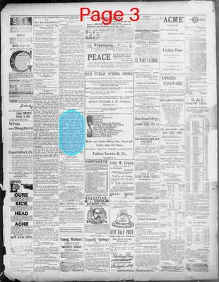 Page thumbnail for News Observer Chronicle