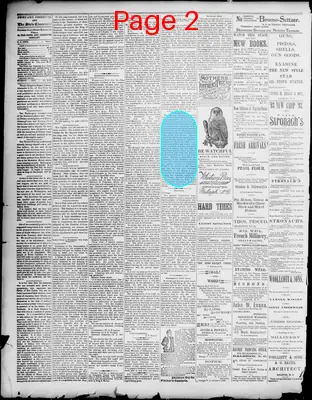 Page thumbnail for News Observer Chronicle