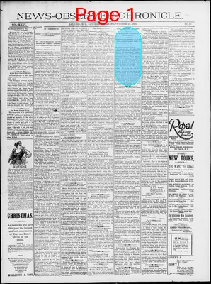 Page thumbnail for News Observer Chronicle