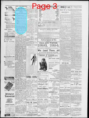 Page thumbnail for News Observer Chronicle